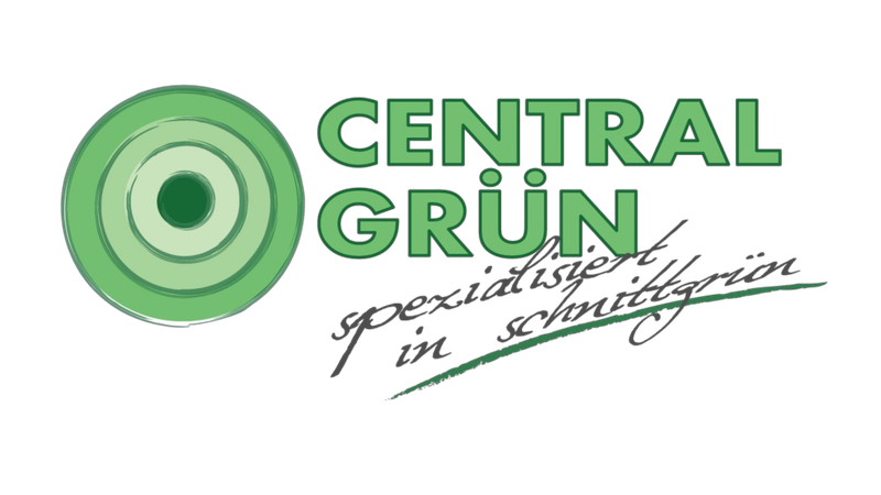 Central Gruen - Caso studio